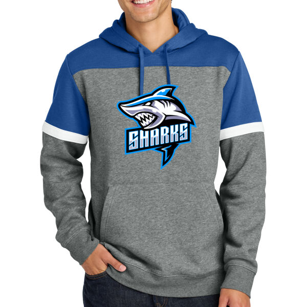 Fleece Colorblock Hoodie Thumbnail